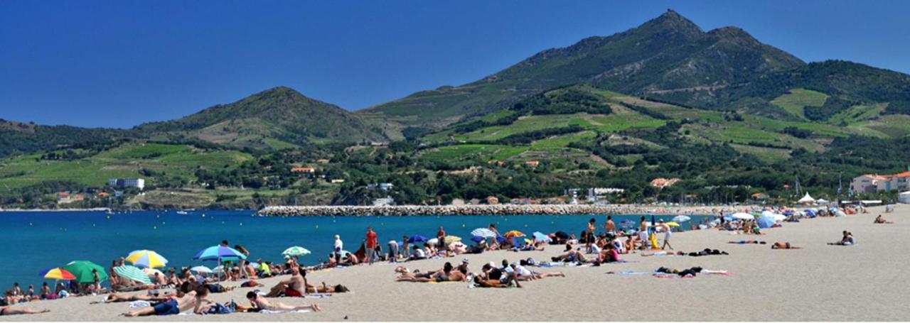 Maison Charmante A Argeles Sur Mer Pres De La Plage Avec Piscine Partagee Buitenkant foto